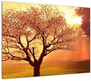 Tablou pe sticlă cu razele lui Dumnezeu (70x50 cm)