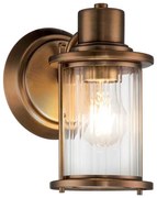 Aplică pentru baie Quoizel QZ-RIGGS1-BATH-WS RIGGS 1xE27/40W/230V IP44