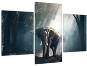 Tablou cu elefant în djunglă (90x60 cm)