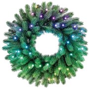 Twinkly GD20P4425P00 - Ghirlandă LED RGB reglabilă 50xLED, pr. 60 cm, Wi-Fi