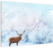Tablou - Cerb maiestuos (70x50 cm)