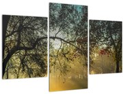 Tablou cu răsărit de soare (90x60 cm)