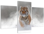Tablou cutigru fugind prin zăpadă (90x60 cm)
