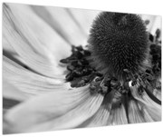 Tablou - Floare în alb-negru (90x60 cm)
