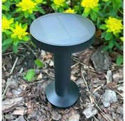 Lampă LED solară Zuma Line DT33611 CARLI LED/2W/2000 mAh IP44 negru