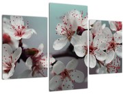 Tablou cu floare - roșie (90x60 cm)