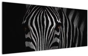 Tablou cu zebră (120x50 cm)