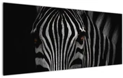 Tablou cu zebră (120x50 cm)