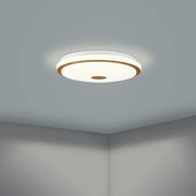 Plafonieră LED dimabilă LANCIANO LED/24W/230V Eglo 900598 + telecomandă