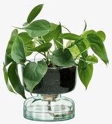Ghiveci de flori cu auto-udare, Canopy, înălţime 13 cm, transparent- LSA International