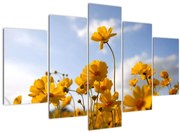 Tablou - Câmp cu flori galben deschis (150x105 cm)