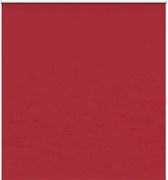 vidaXL Jaluzea opacă 164,4x175 cm, lățime material 160 cm, roșu