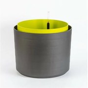 Plastia Plantă de volum mare cu auto-apărareBerberis 55, antracit + verde