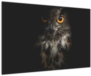 Tablou cu bufnița (90x60 cm)