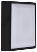 Aplica de perete / tavan exterior IP54 Oliver Black