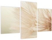 Tablou - Detaliu flori (90x60 cm)