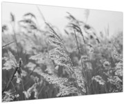 Tablou - Iarba în vânt (90x60 cm)