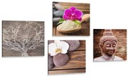 Set tablouri Feng Shui în design natural