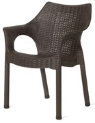 Scaun din ratan Cambridge Dark Brown 61 x 54 x 80cm
