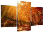 Tablou cu pădurea în toamnă (90x60 cm)