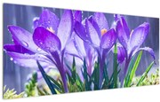 Tablou cuflori în ploaie (120x50 cm)