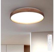 Brilagi - Plafonieră LED dimabilă ALSON LED/48W/230V 3000-6500K + telecomandă