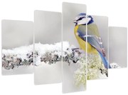 Tablou - Pițigoi (150x105 cm)