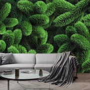 Fototapet - Ramuri de conifere (147x102 cm)