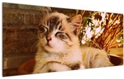 Tablou cu pisica în ghiveci (120x50 cm)