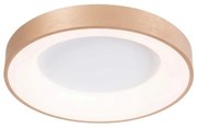 Plafonieră LED SANTANA LED/30W/230V auriu Azzardo AZ4988