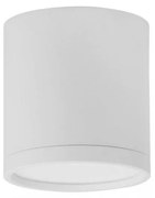 Spot LED aplicat tavan / plafon design modern minimalist GARF alb