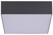 Plafoniera LED pentru exterior IP54 CASPER SQUARE 4000K DGR