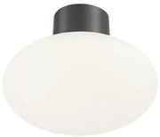 Ideal Lux - Plafonier exterior CLIO 1xE27/42W/230V IP44 antracit