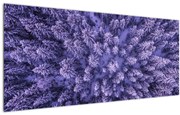 Tablou cu copacii înzăpeziți (120x50 cm)