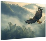 Tablou - Vultur în zbor (70x50 cm)