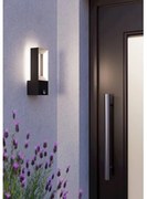Aplică LED de exterior cu senzor RIFORANO 2xLED/5W/230V IP44 Eglo 98726