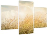 Tablou - Câmp toamna (90x60 cm)