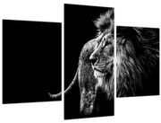 Tablou - Leu (90x60 cm)