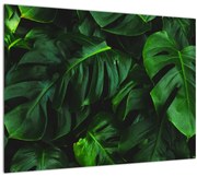 Tablou cu frunze Monstery (70x50 cm)