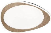 Rabalux 2427 - Plafonieră LED TAMINO LED/24W/230V