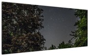 Tablou cu cerul nocturn (120x50 cm), în 40 de alte dimensiuni noi