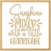 Tablouri Gravate - Cadouri Amuzante Pentru Prieteni - Diverse Modele