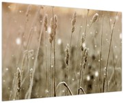 Tablou - Pajiște armonioasă (90x60 cm)