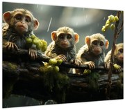 Tablou pe sticlă - Maimuțe (70x50 cm)
