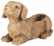 Cutie de flori Dachshund, ceramică MgO, 36 x 17 x21 cm