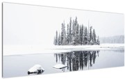 Tablou - A fost alb (120x50 cm)