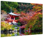 Tablou - Daigodji (70x50 cm)