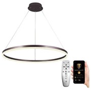 Lustră LED pe cablu dimabilă LED/55W/230V 3000-6500K + telecomandă