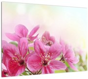 Tablou pe sticlă - Flori roz (70x50 cm)