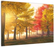 Tablou pe sticlă cu copaci toamna (70x50 cm)